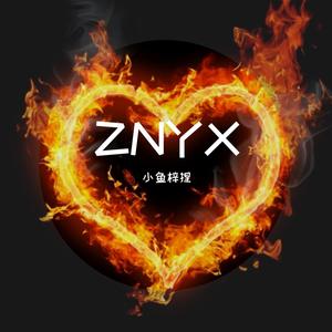 归于繁星（Prod.No Birthday）