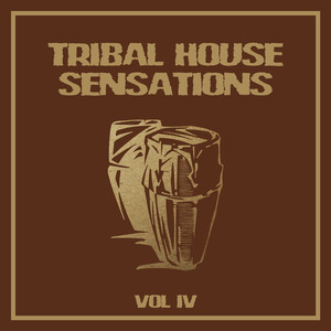 Tribal Tech (Original Mix)