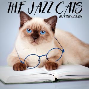 Stiff Cat Steve Loves His Jazz