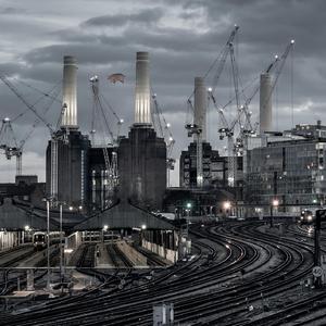 Pigs (Three Different Ones) (2018 Remix)