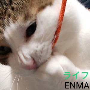 ライフ (Instrumental)