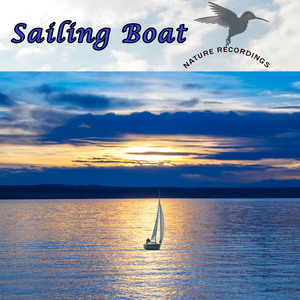 Sailing Boat-Suite
