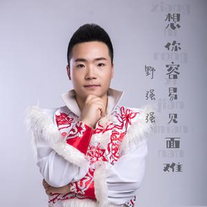 想你容易见面难 (DJ版)