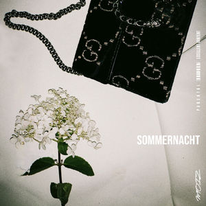 Sommernacht