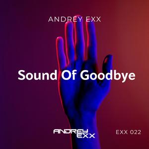 Sound Of Goodbye (Extended Mix)