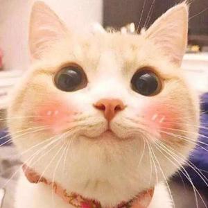 summertime弹棉花片段