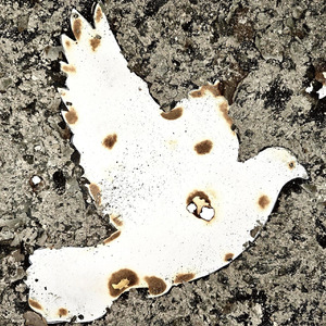 Love Can Cover The World