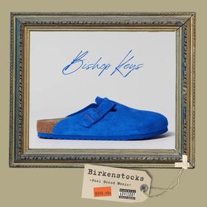 Birkenstocks