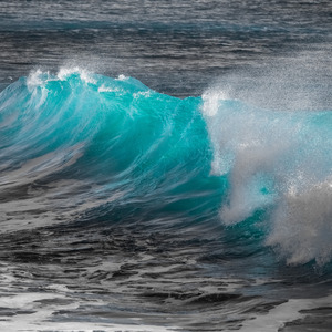 Fresh Wave