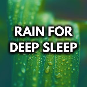 Rain Ambience (Loopable, No Fade Out)