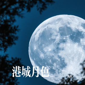 港城月色