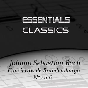 Brandenburg Concerto No. 5 In D, BWV 1050: II. Affettuoso