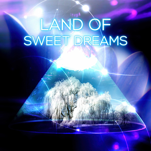 Violin Sonata No. 4 in G Major, K. 9: III. Menuetto