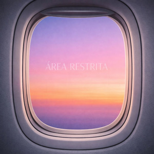 Área Restrita