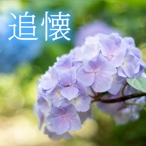 夜明けの光 (2026 Remaster)