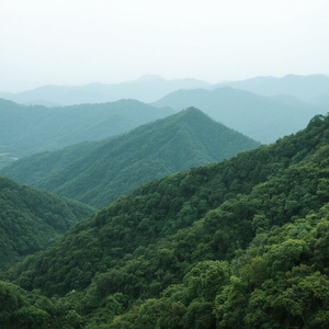 得闲已与山