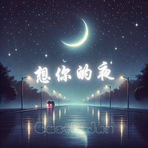想你的夜 (니가 그리운 밤)