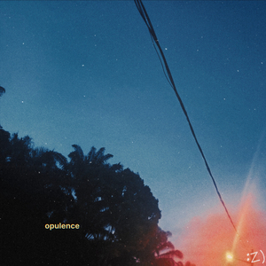 opulence
