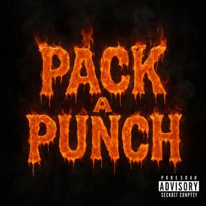 PackAPunch