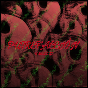 Putrefaccion
