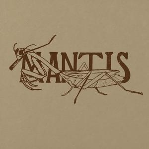 Mantis