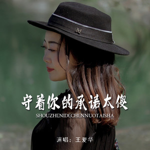 守着你的承诺太傻 (DJ版)