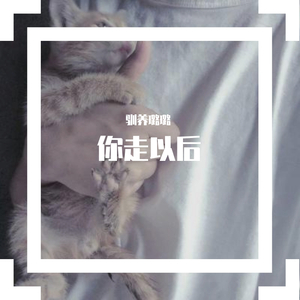你走以后（翻自 王恩信Est）