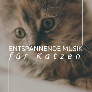 Pausenzeit