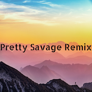 Pretty Savage Remix