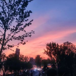 想你的时候问候太阳