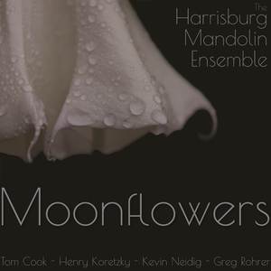 Moonflowers
