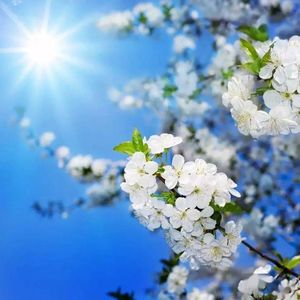 我的心里只有你