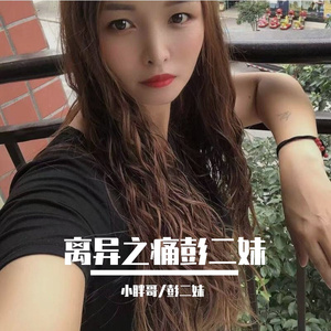 离异之痛彭二妹