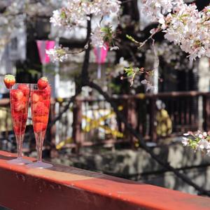 一腔诗意喂了狗（cover：花粥）