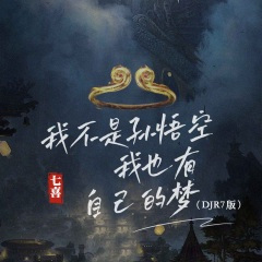 我不是孙悟空我也有自己的梦 (DJ R7版)