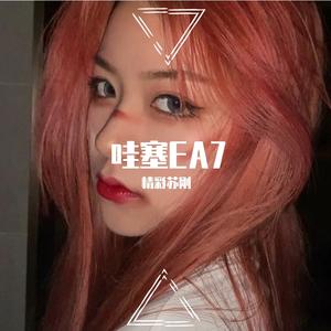 蔡健雅-越来越不懂（remix）（精彩苏刚 / 林苏 remix）