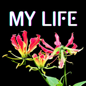 MY LIFE