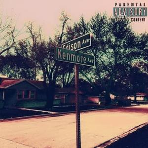 wayne's world (60505)