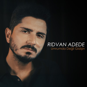 Umrumda Değil Gidişin
