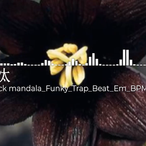 47th_Black mandala_Funky_Trap_Beat_Em_BPM80