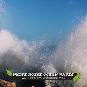 Life of New York Ocean Waves