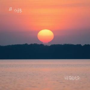 碎落的光影