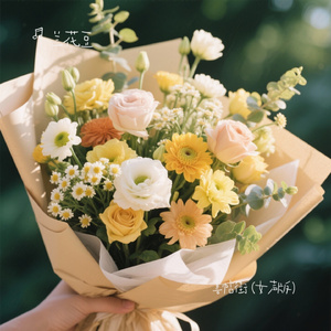 喜帖街 (女声版)（Cover 赵十三）