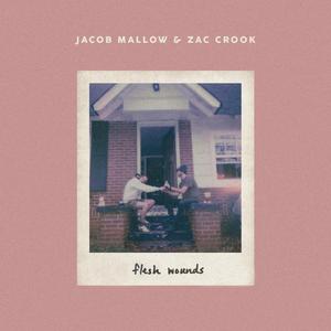 Flesh Wounds (feat. Zac Crook)