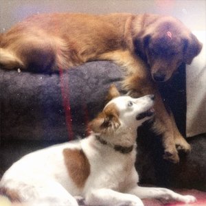 forever isn’t enough