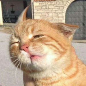 梦无（Cover 中孝介）