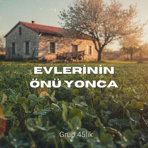 EVLERİNİN ÖNÜ YONCA