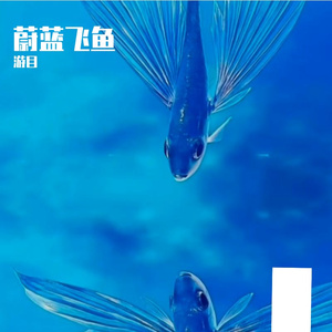 蔚蓝飞鱼