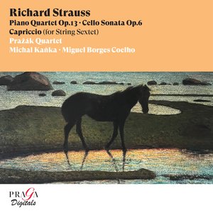 Capriccio, Introduction for String Sextet in F Major: Andante con moto