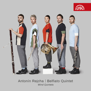 Wind Quintet in E Minor, Op. 88 No. 1:No. 2, Andante poco allegretto
